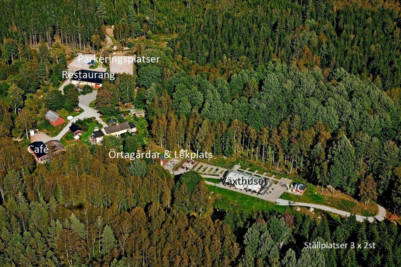 Timjan Forest Resort Nydala المظهر الخارجي الصورة