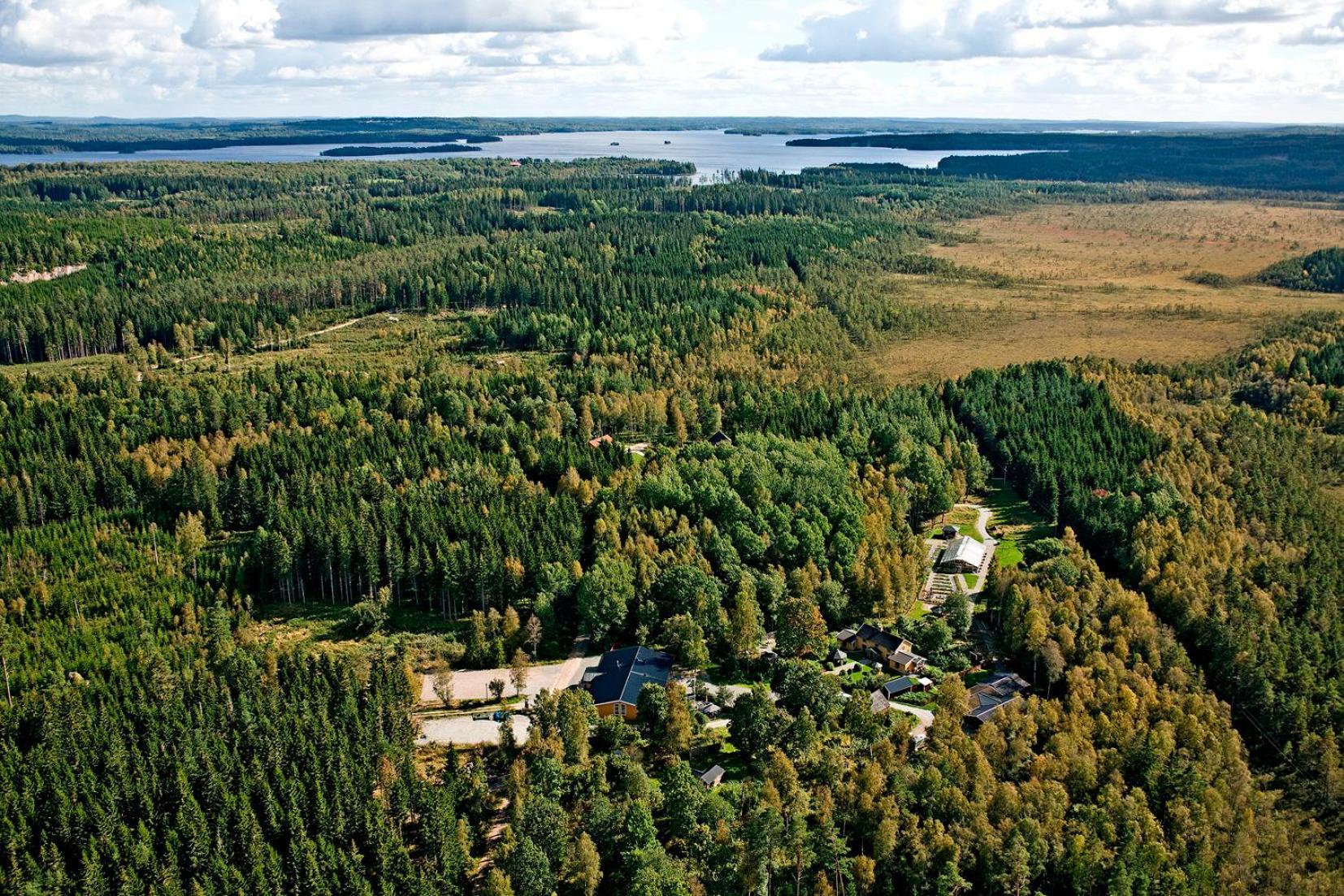 Timjan Forest Resort Nydala المظهر الخارجي الصورة