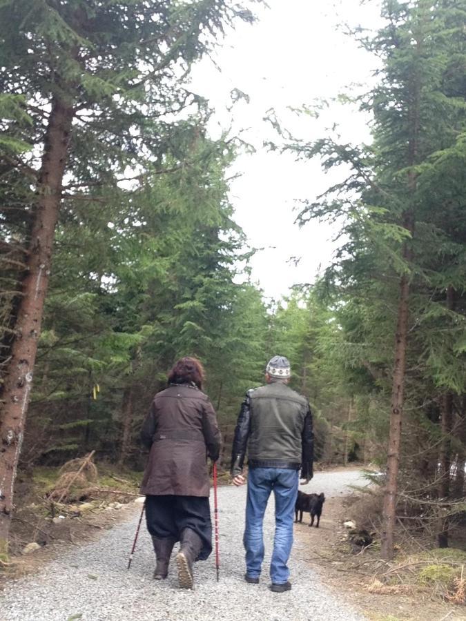 Timjan Forest Resort Nydala المظهر الخارجي الصورة